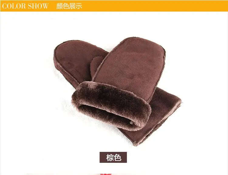 HTB13iGyQVXXXXciXXXXq6xXFXXXr